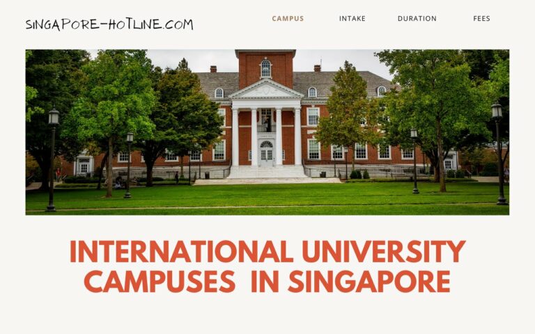 List Of Best International Universities With Campuses In Singapore 768x480 