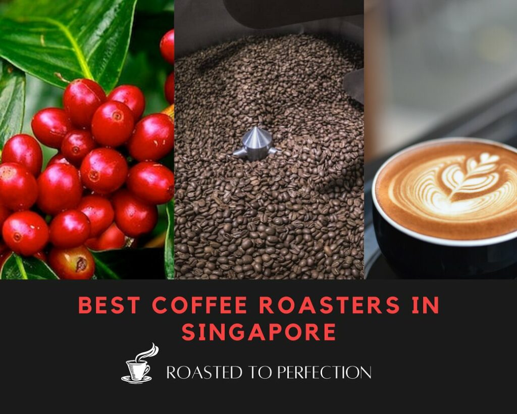 Best Specialty Coffee Roasters in Singapore [Top Picks 2023]