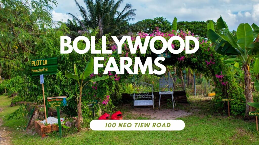 Bollywood Farm Singapore's Best-Kept Hidden Gem Waiting to be Explored