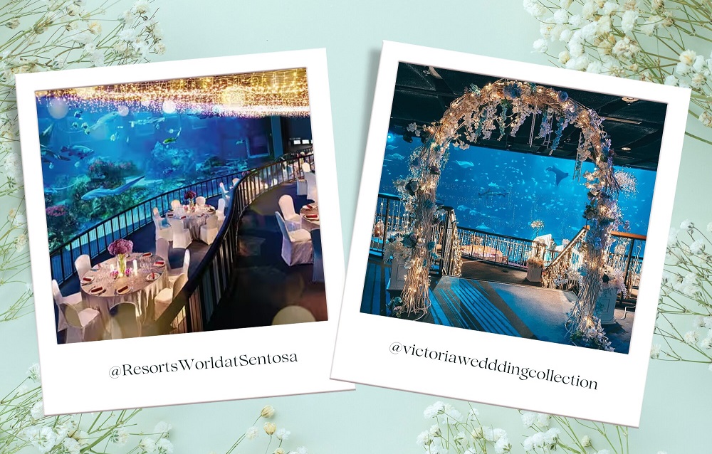 Local Destination Wedding at S.E.A. Aquarium in Singapore