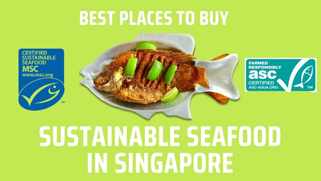 Hooked on Sustainability Dive into Singapore's Sustainable Seafood Scene
