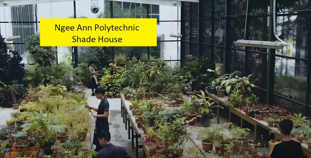 Diploma in Landscape Design & Horticulture Students at Ngee Ann GreenHouse