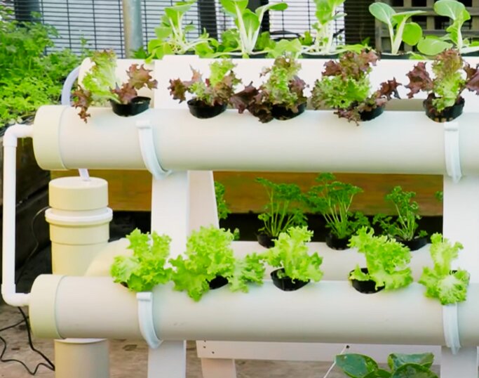 Maximize Your Balcony Space with a Hydroponic Vertical Garden