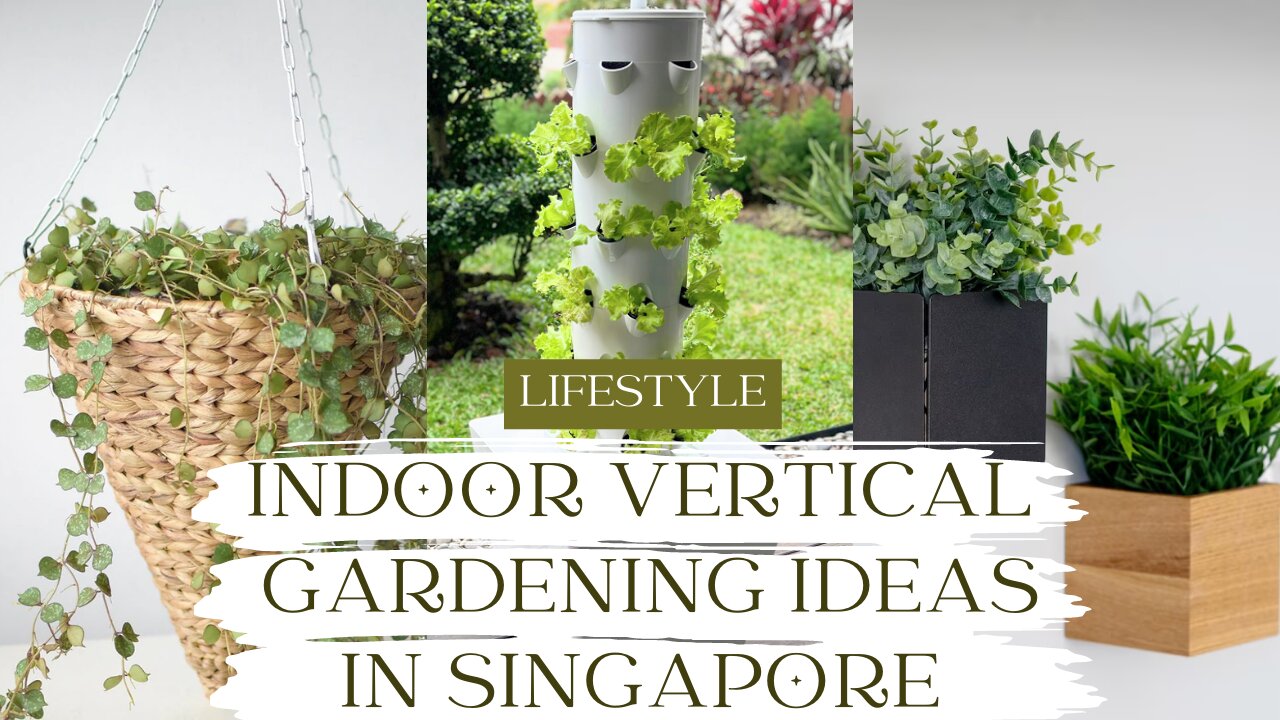 Planting Smarts 12 Low Maintenance Vertical Gardens that Keep Your Singapore Home Blooming