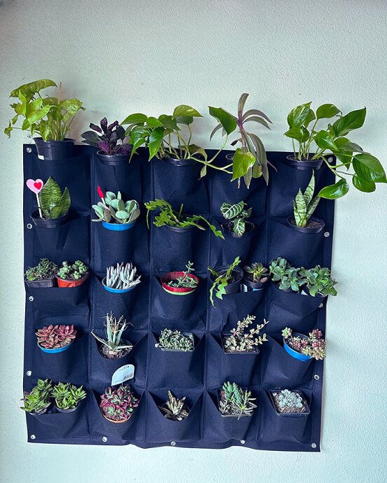 Pocket Planters for Small Apartments