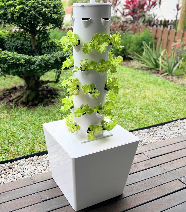 Sustainable Gardening Made Easy with Vertical Aquaponics